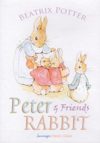 Peter & Friends Rabbit